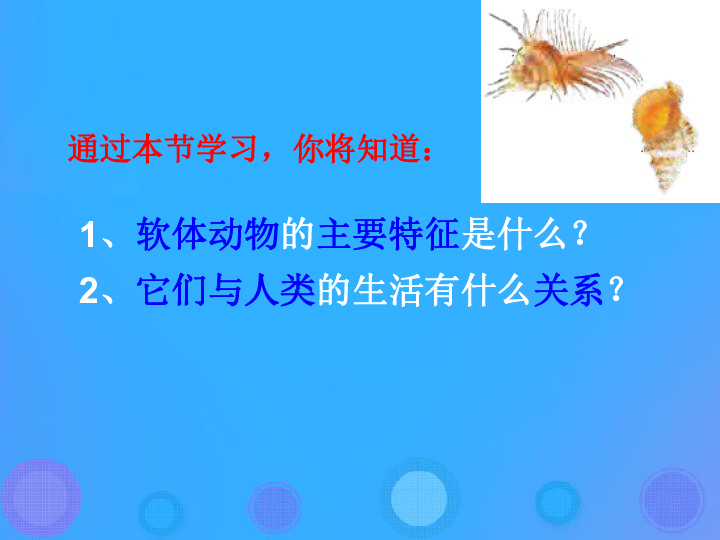 软体动物与节肢动物的奇妙世界，生物学教案设计