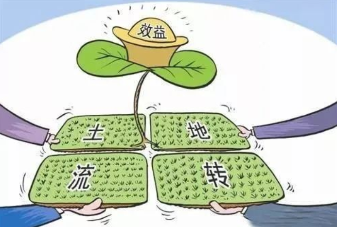 第479页