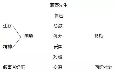 藤野先生教案，一位卓越教育者的故事与启示