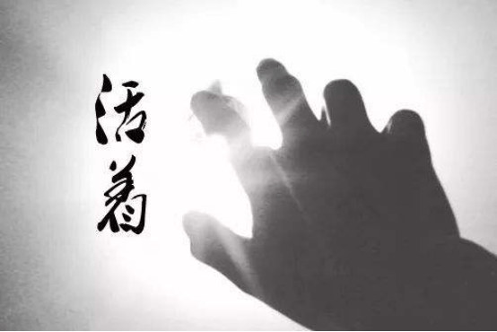 活着，一部深刻揭示生命意义的影视佳作