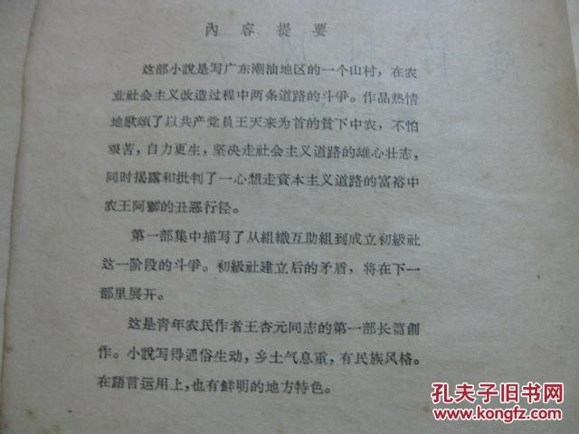 路旁的橡树教学设计，探索自然与人文的交融之美
