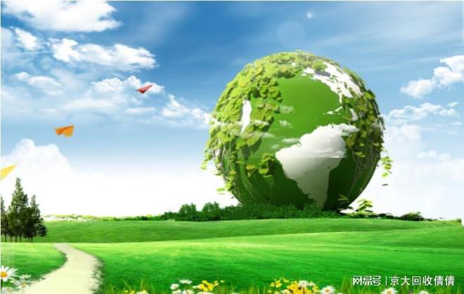 青蛙军团爱地球读后感，环保意识的启示与青少年力量的觉醒