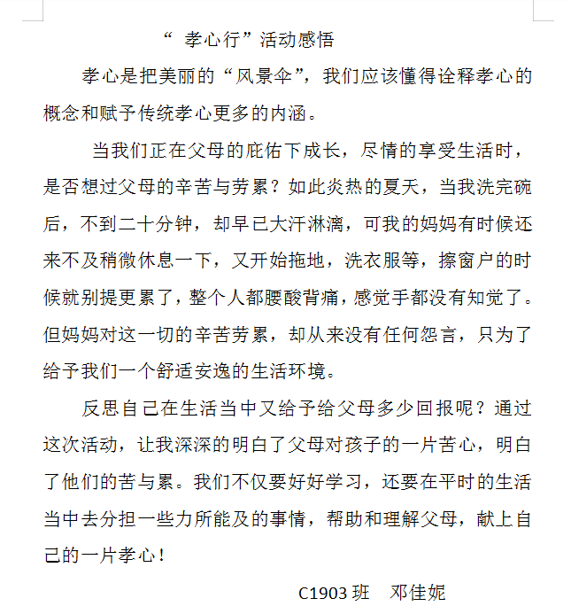 最美孝心，感动人心的孝道之旅观后感