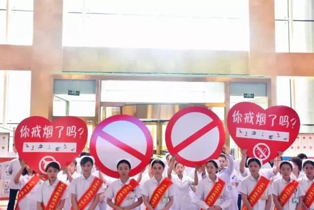 世界无烟日资料，揭示烟草的危害与全球禁烟行动的重要性