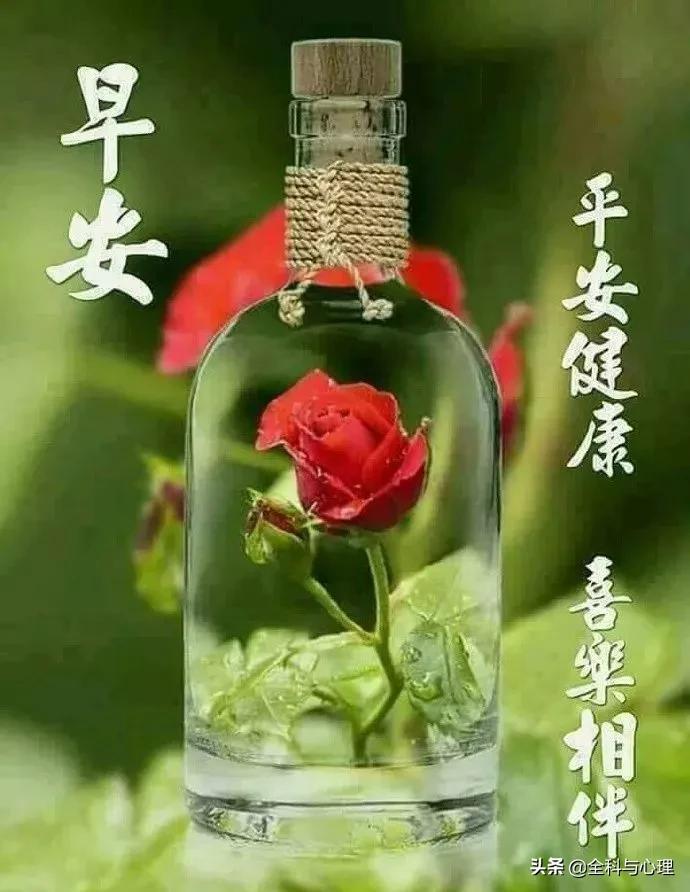 享用美食 第115页