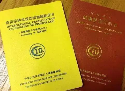 证明书的重要性及其实际应用