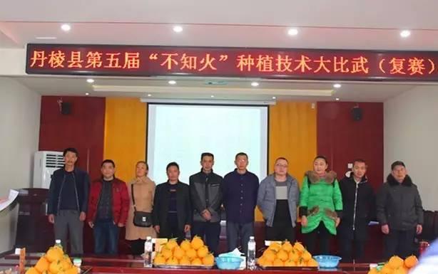 杨家果王