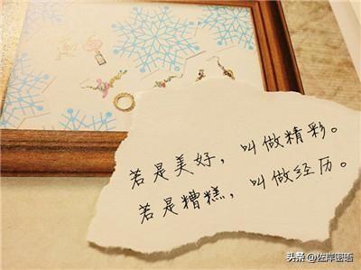 分手情书大全，情感终章，心灵寄语