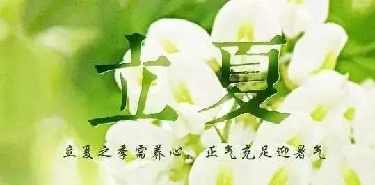 立夏节气祝福语满载温馨与希望