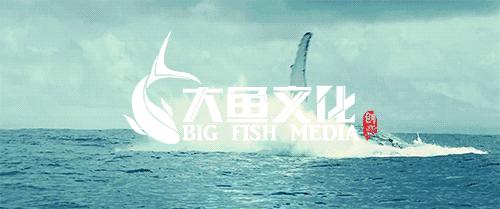 浪子天涯 第40页
