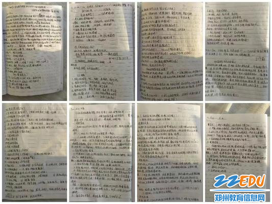 幼儿园教师教育笔记，探索与成长的每一步