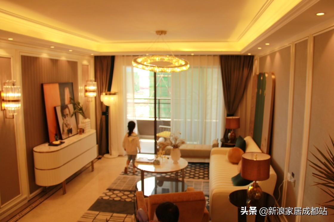 消费者报告，深度解析消费趋势与行为模式