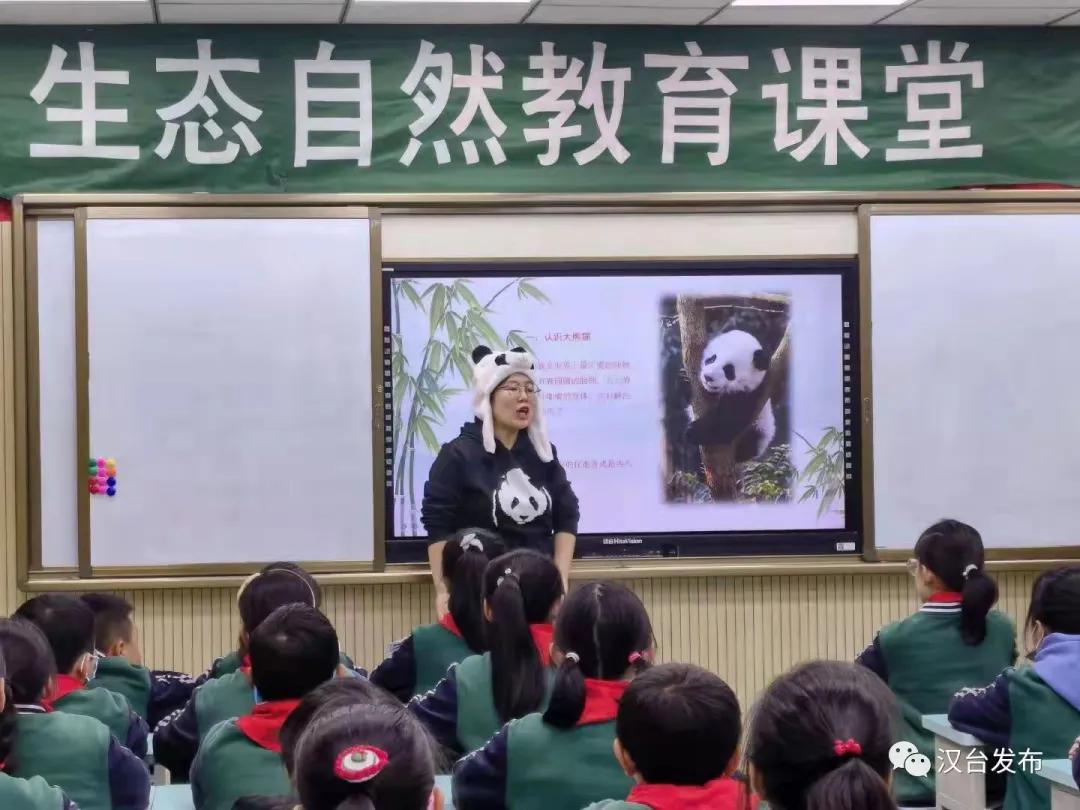 新人教版八年级数学，探索知识的深度与广度
