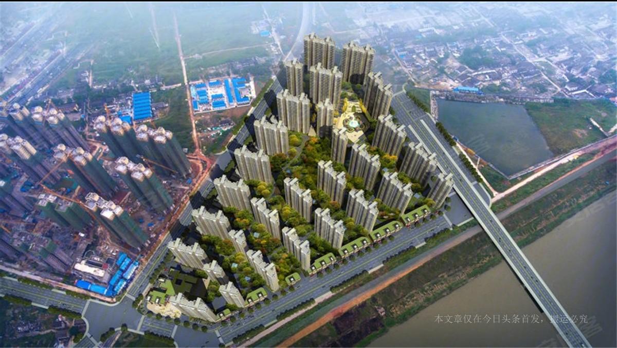 生命流泪的样子读后感，感悟成长与生命的脆弱