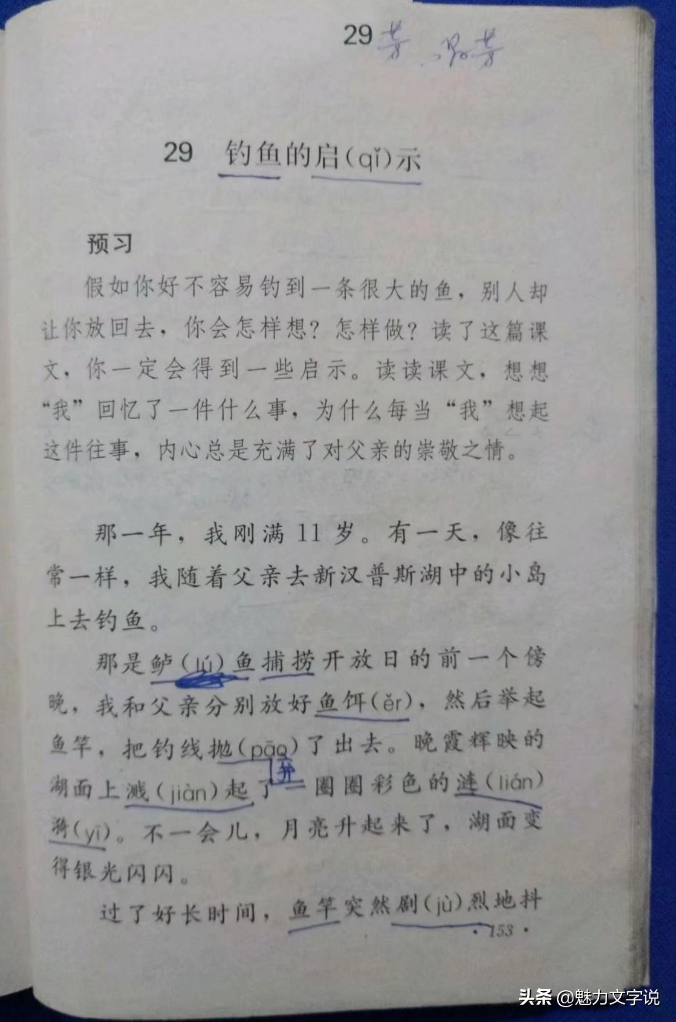 钓鱼的启示教学设计，深度探索与实践创新