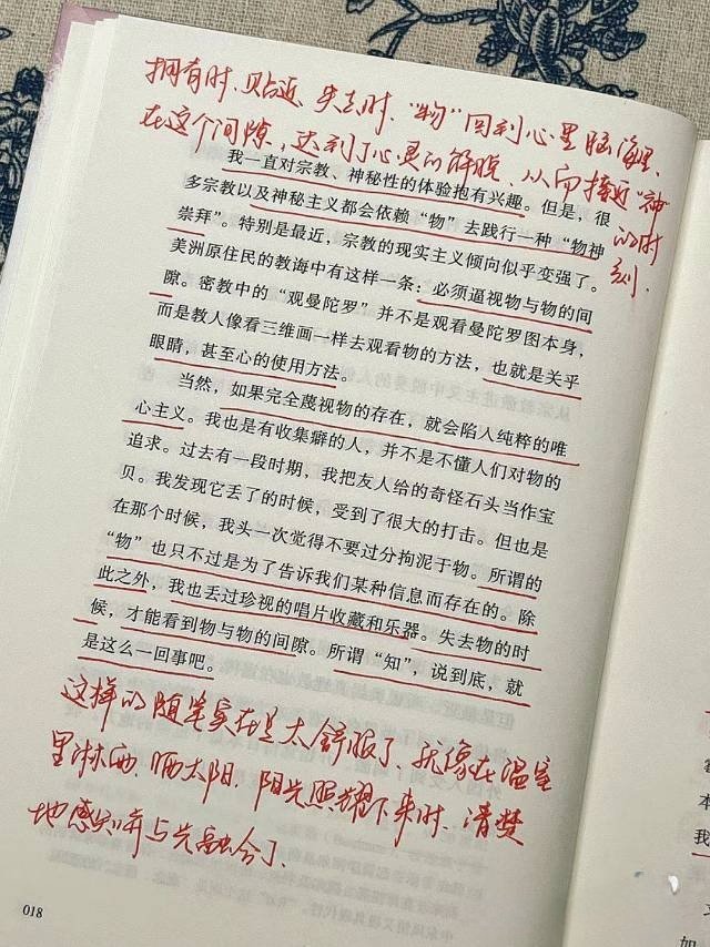 一问一世界读后感，探寻智慧与知识的交汇点
