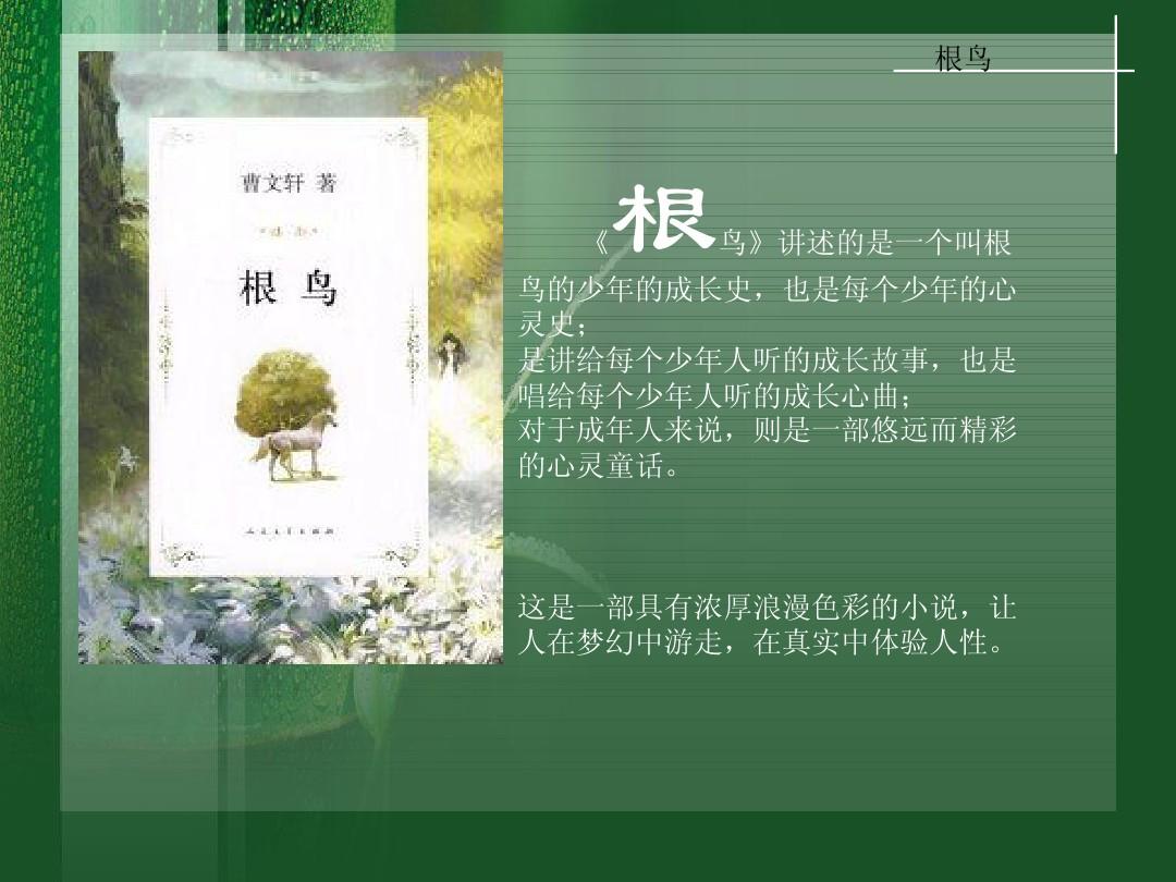 根鸟读后感，追寻梦想的旅程与心灵的觉醒