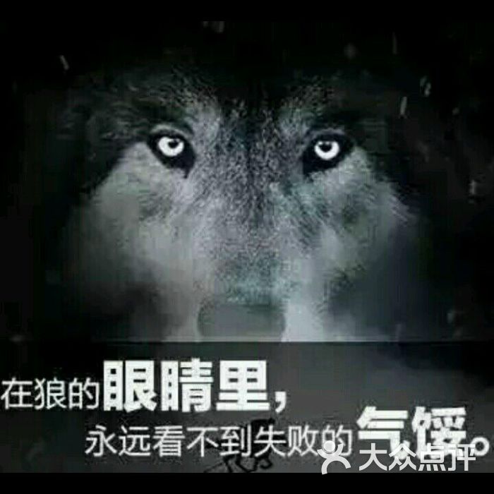 繁星读后感，探索文学的魅力与人生的启示