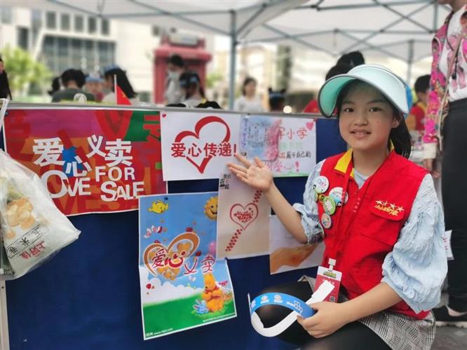 小学教学计划，构建知识与乐趣的桥梁