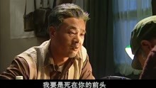 红高粱观后感，激情燃烧的岁月与生命的赞歌