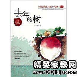 去年的树读后感，人与自然之间的情感纽带与生态启示