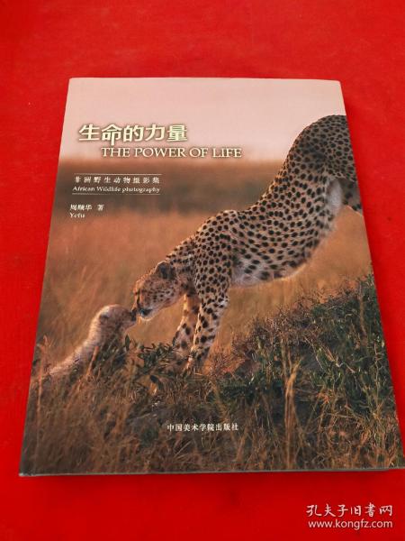 牛虻读后感，生命的坚韧与信仰的力量