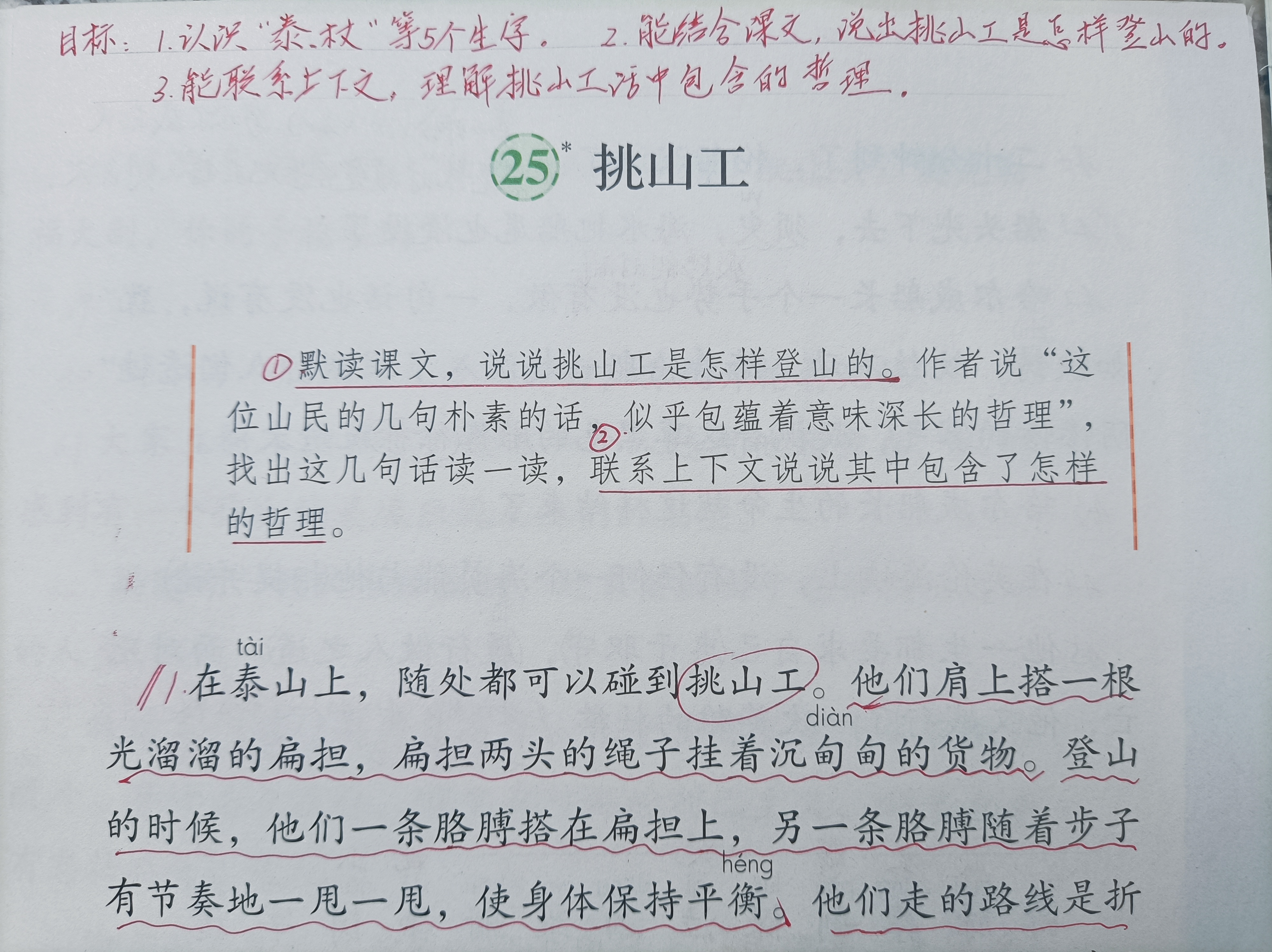 挑山工教学反思，探寻课堂实效与学生发展的平衡之道