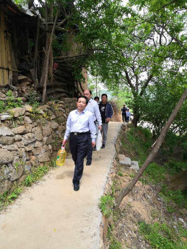 中学生调查报告，关于校园环境与学习的研究
