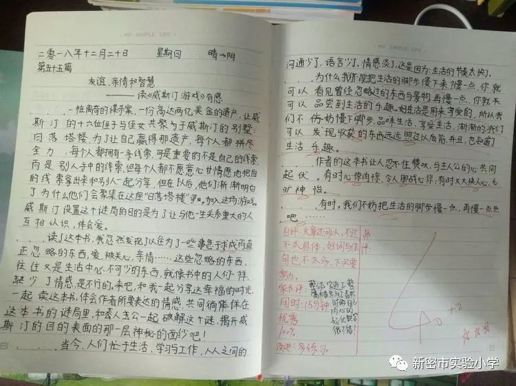 探索学习技巧与考试心理的奥秘，我的观后感