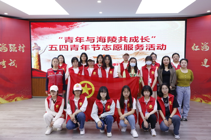 青年志愿者活动方案，激发青春力量，共筑美好未来