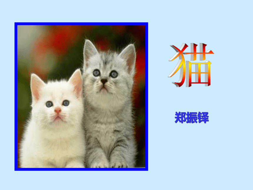 郑振铎猫教案