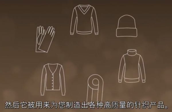 达尔奴，探索未知的领域与超越自我