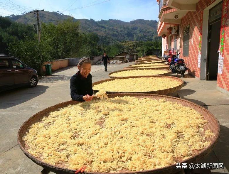 读书心得，探索知识世界的深度与广度