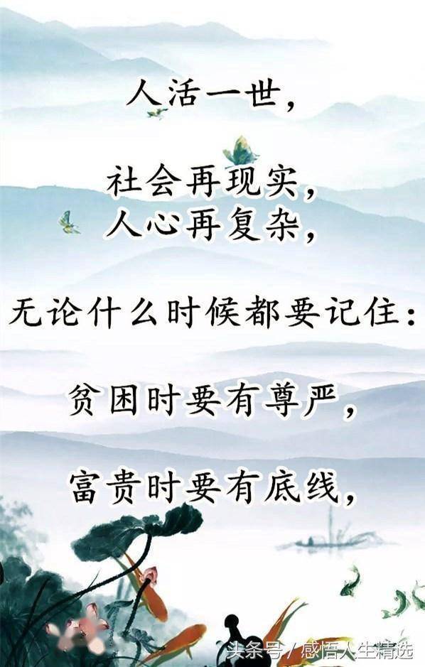 傲慢与偏见，解读人性之复杂与社会认知的偏颇