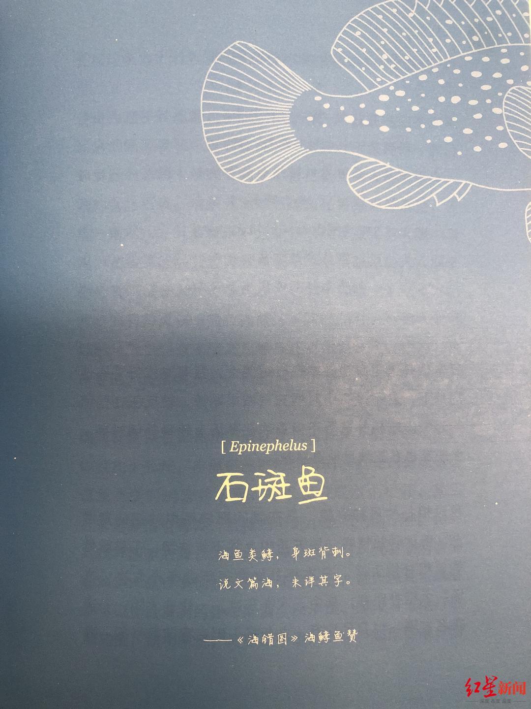 课外阅读笔记，探索知识的海洋与自我成长的路径