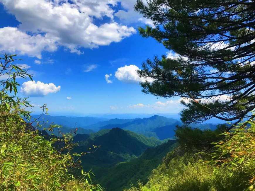 翻越远方的大山，探索未知的挑战与成长之路
