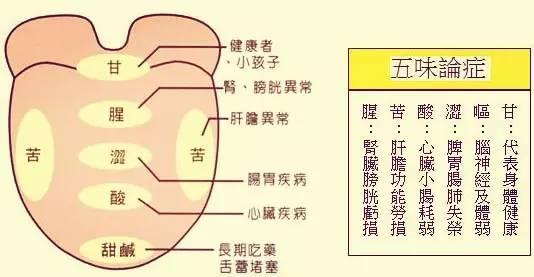 嘴巴与身体，探究放置之差异