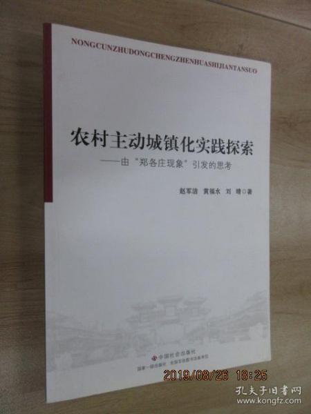 暑期实践论文，探索社会现象与自我成长的交织之路