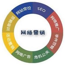 网络营销策划案，构建高效策略，引领企业走向成功之路