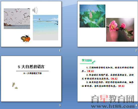 大自然的文字，探索与解读的PPT展示