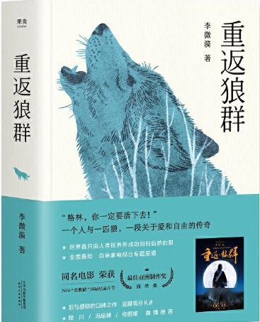 读书心得，探索知识世界的深度与广度