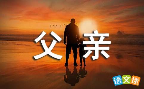 父爱的优美句子