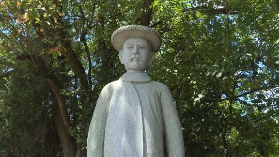 读书后感，追寻生命的光芒