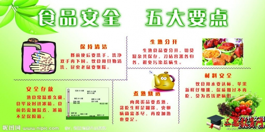 食品安全教育教案