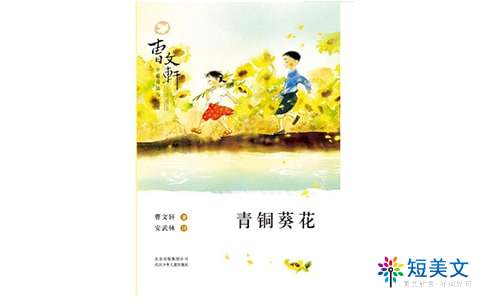 青铜葵花，生活的苦难与生命的坚韧