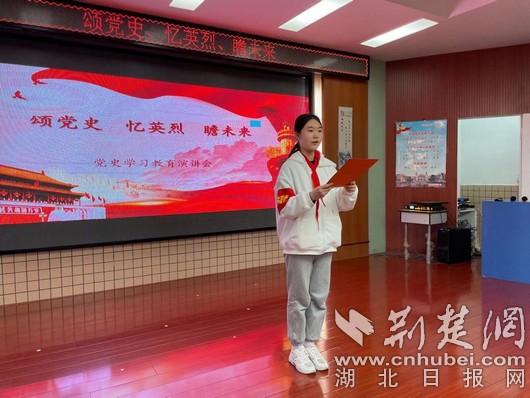 关于爱国的读后感，赤子之心，爱国之情