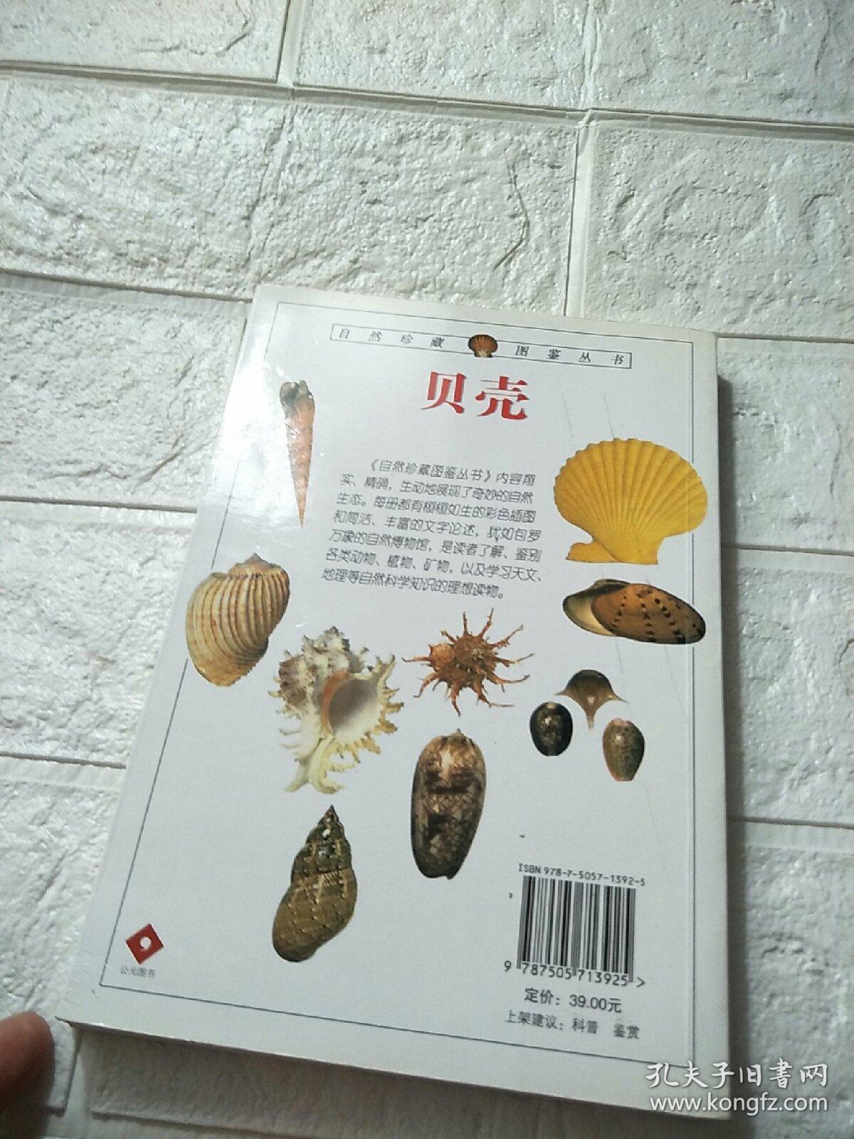 贝壳的阅读答案
