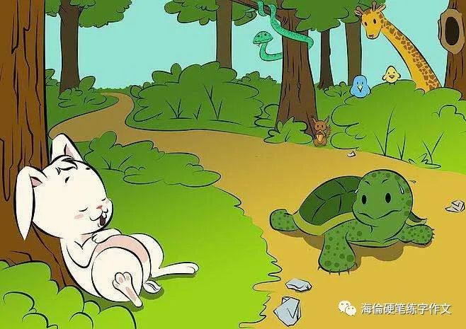 龟兔赛跑新编故事，再度挑战与恒心的胜利