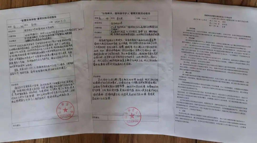 假期社会实践报告，深入探索，收获成长