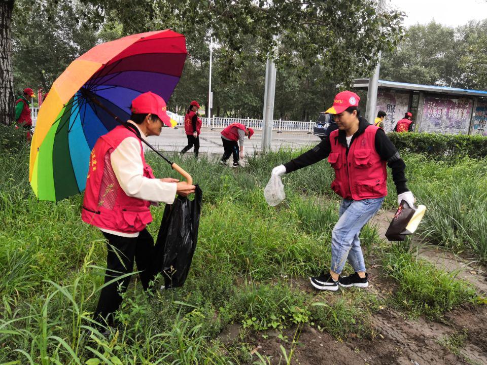 暑期社会实践策划，探索、成长与贡献